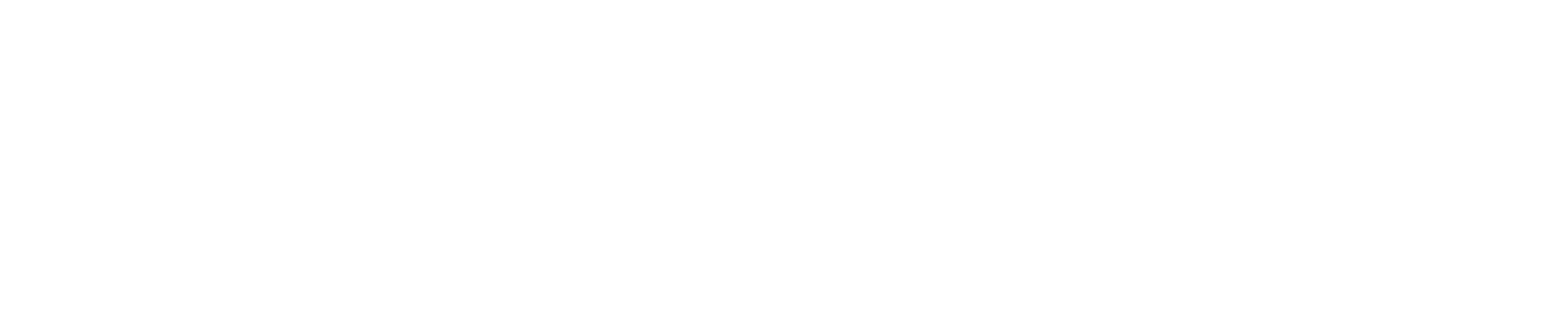 Sperry brand logo.