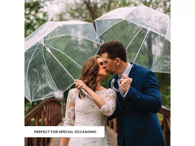 Totes Signature Clear Bubble Umbrella, Birds on A Wire