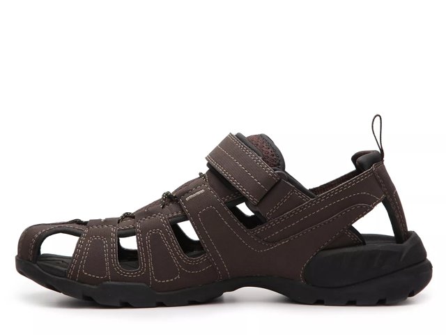 Dsw mens sales teva sandals
