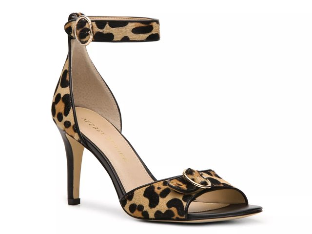 Dsw online audrey brooke