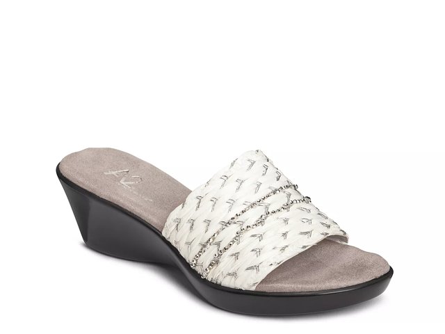 A2 aerosoles dsw best sale