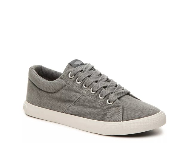 Dsw clearance rocket dog