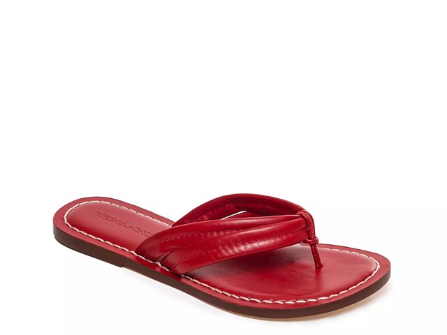 Bernardo 2025 sandals dsw