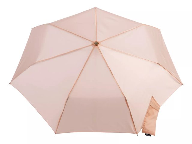 Dsw free umbrella 219 discount
