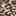 Auto Open & Close Umbrella Brown & Black Leopard Print view