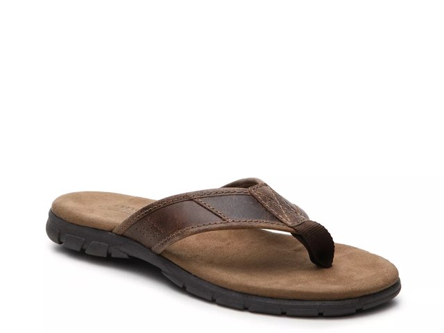 Dsw crevo cheap