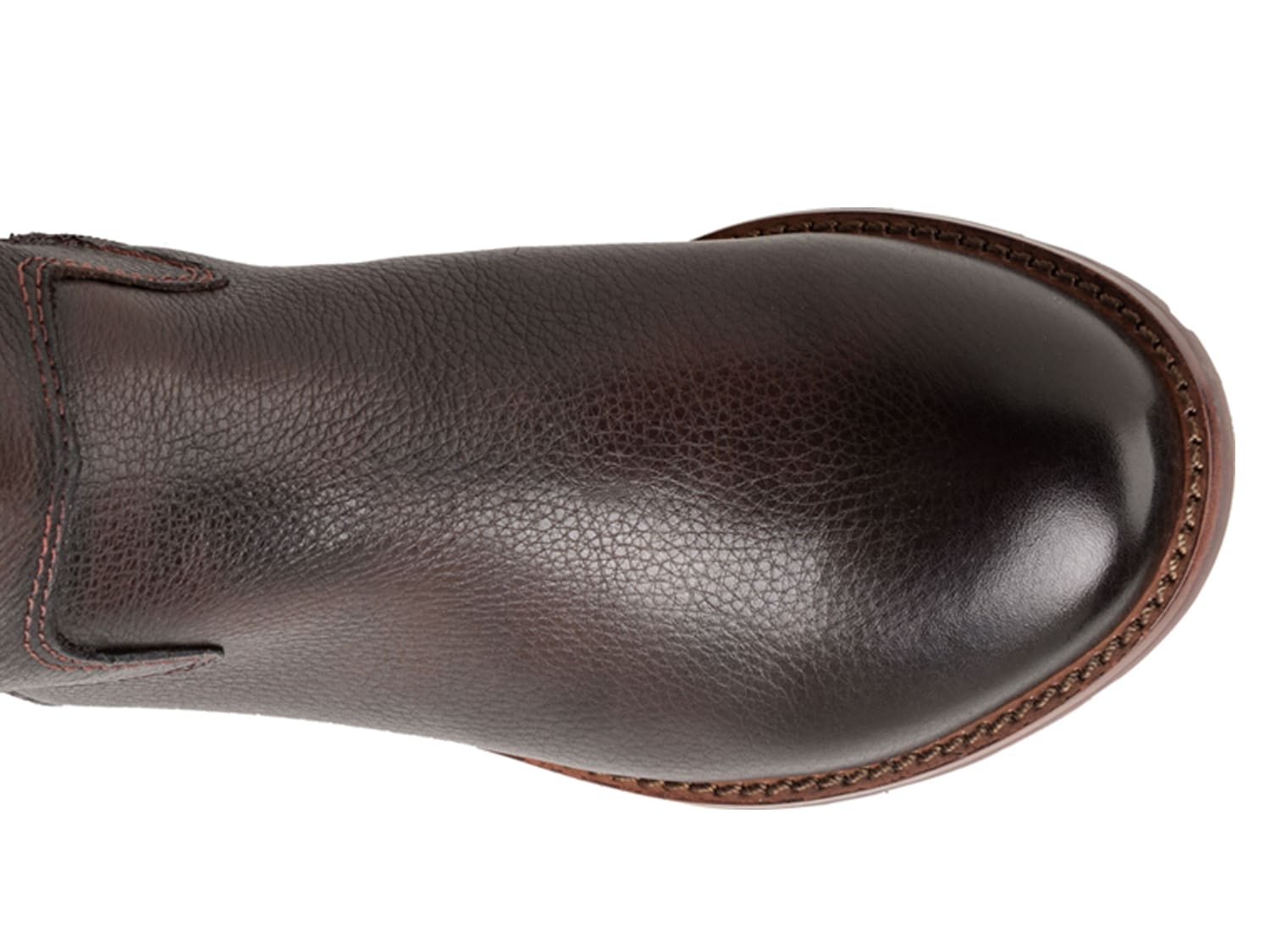 Sofft Sharnell Wide Calf Riding Boot DSW