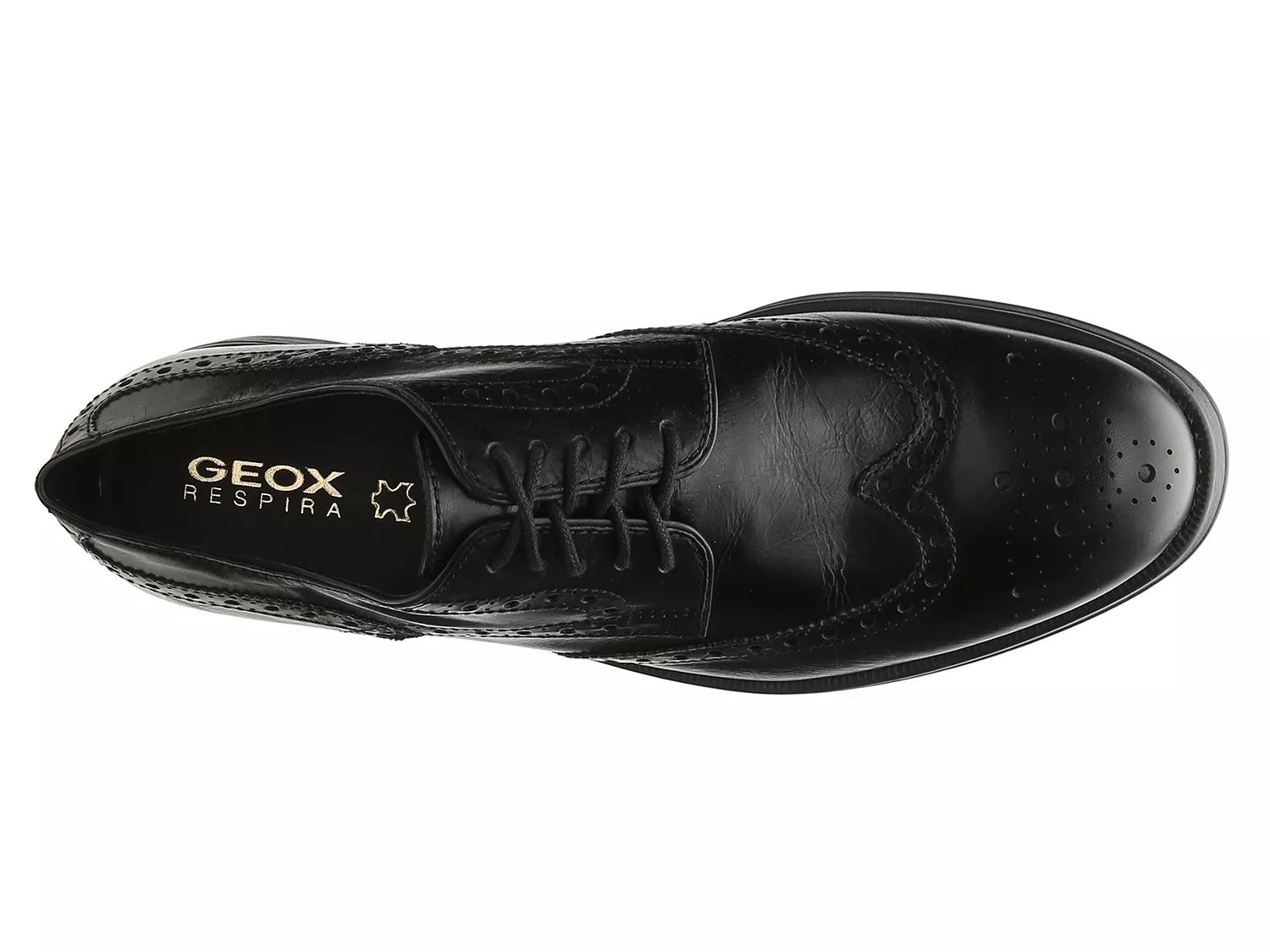dsw geox