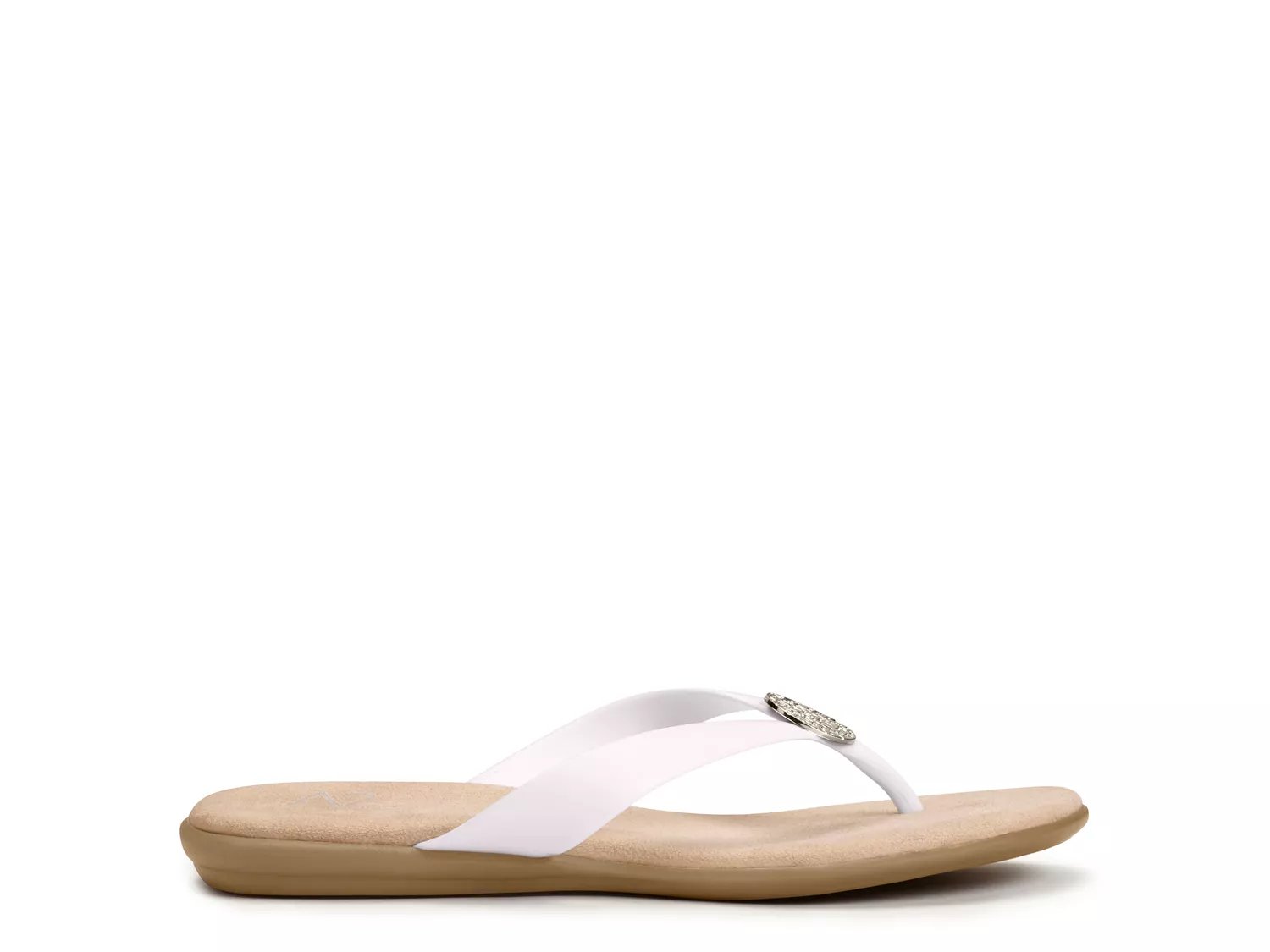 a2 aerosoles dsw