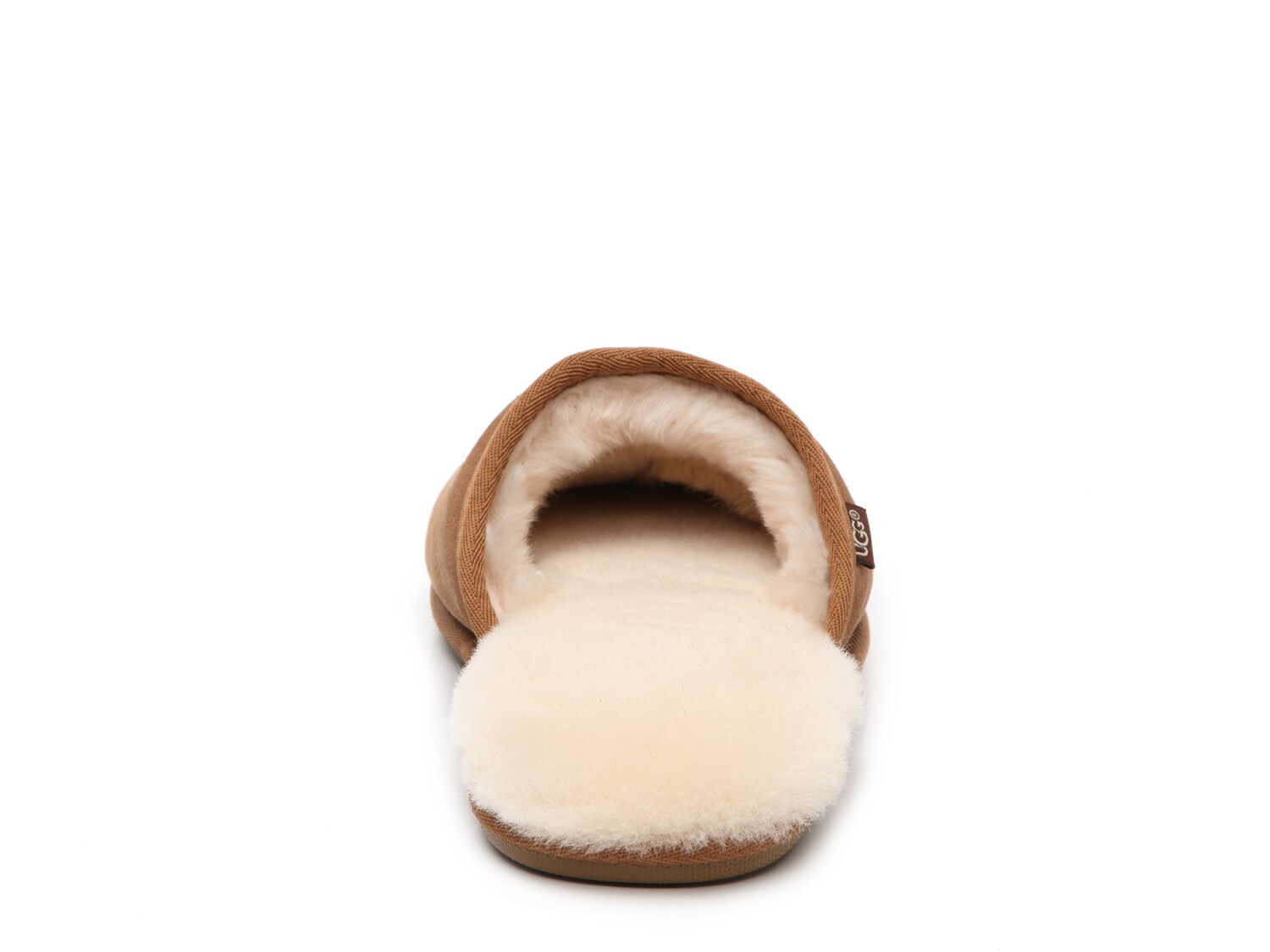 dsw mens uggs