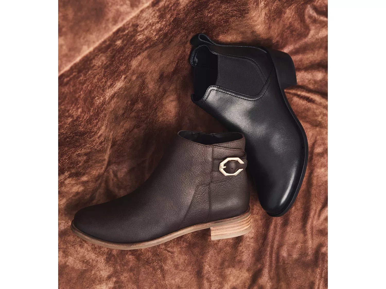 corinne chelsea boot cole haan