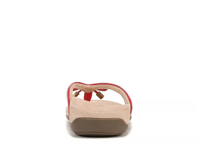 Dsw vionic flip flops shop