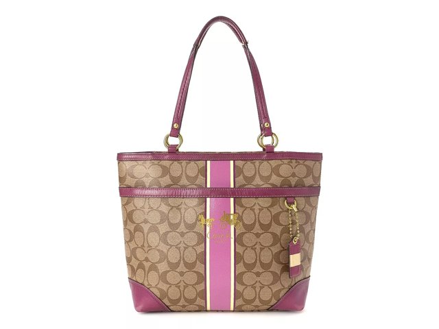 Dsw sales coach bags