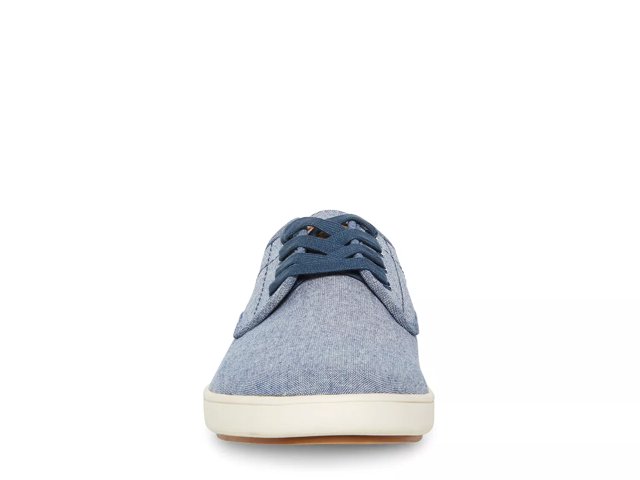 Steve madden fenta sneakers new arrivals