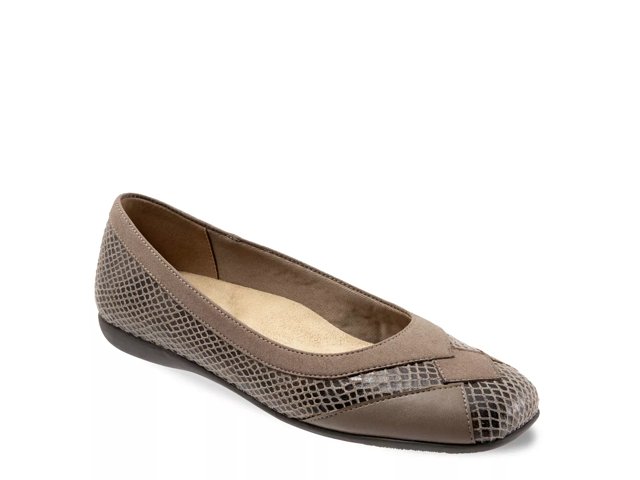 Dsw trotters 2025