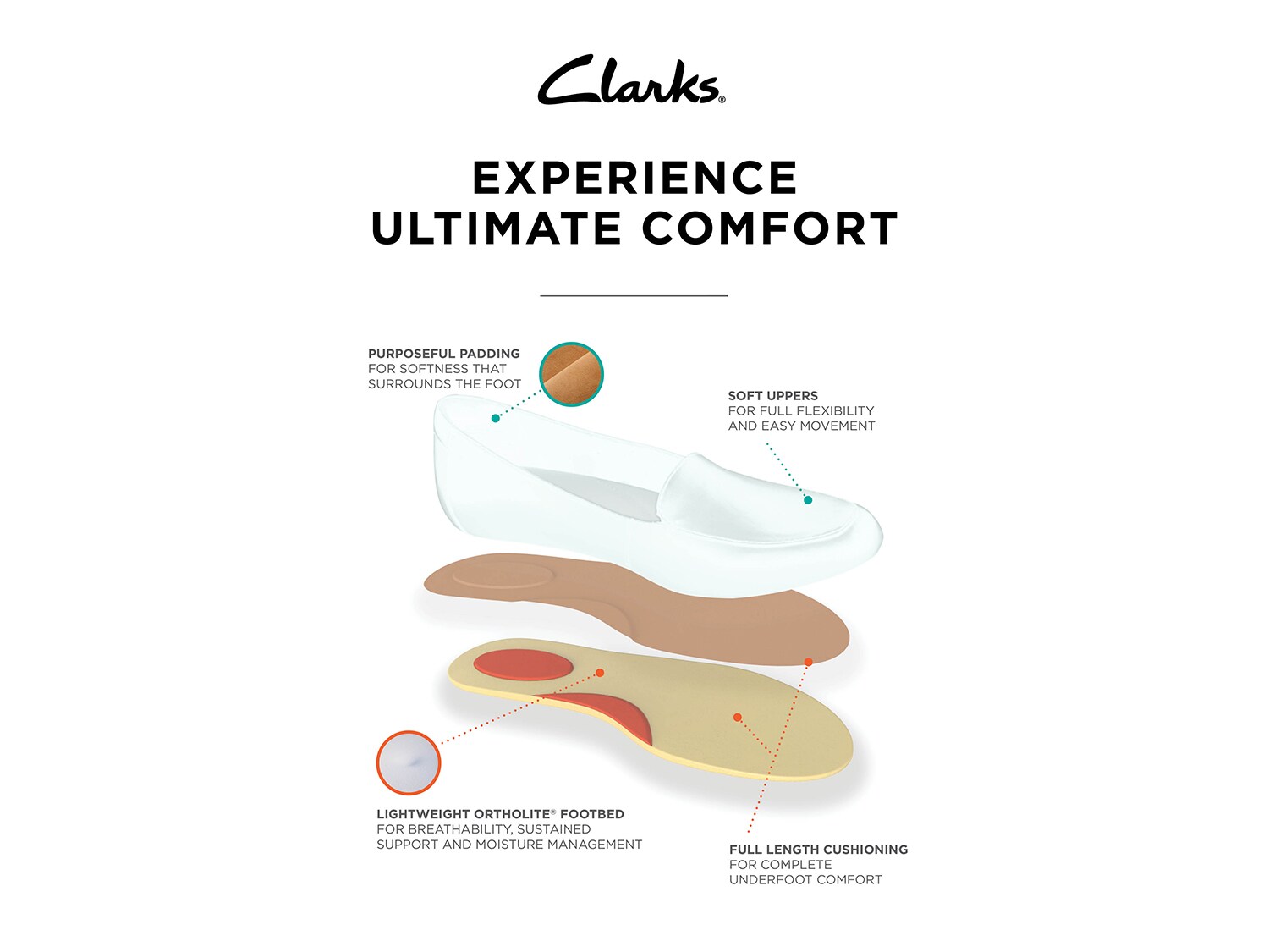 clarks the curve