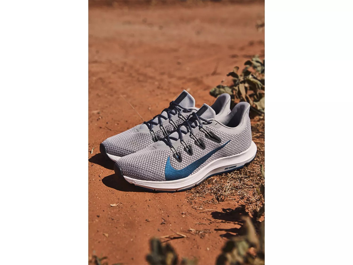 dsw nike quest 2