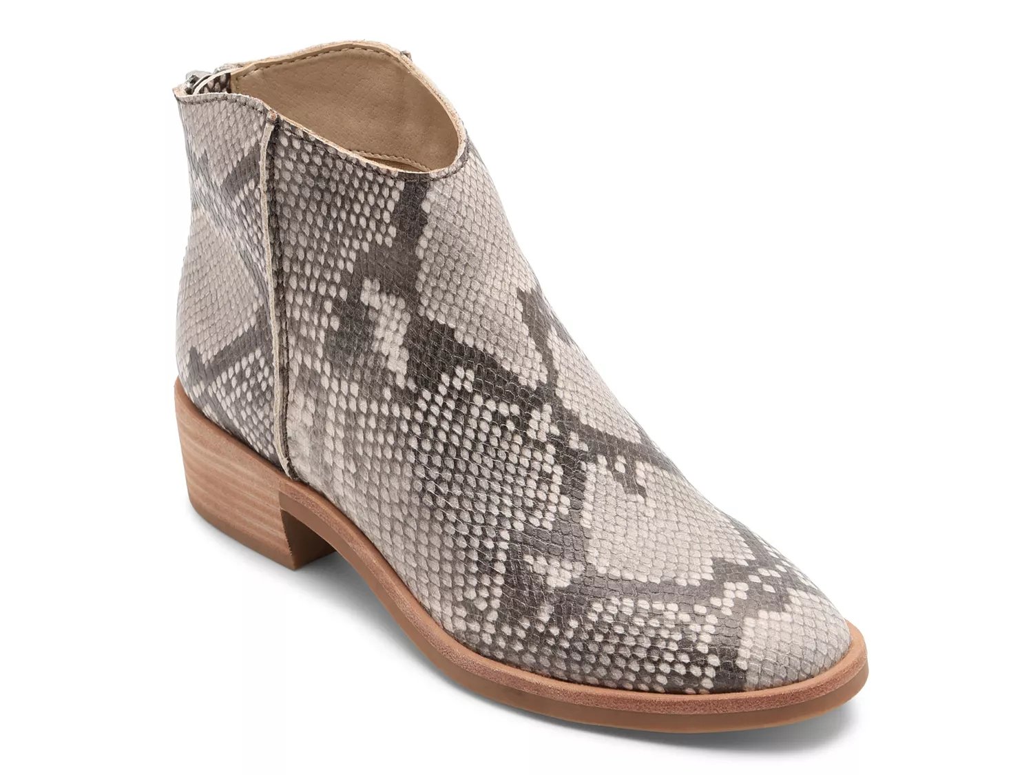 Snake booties hot sale dsw