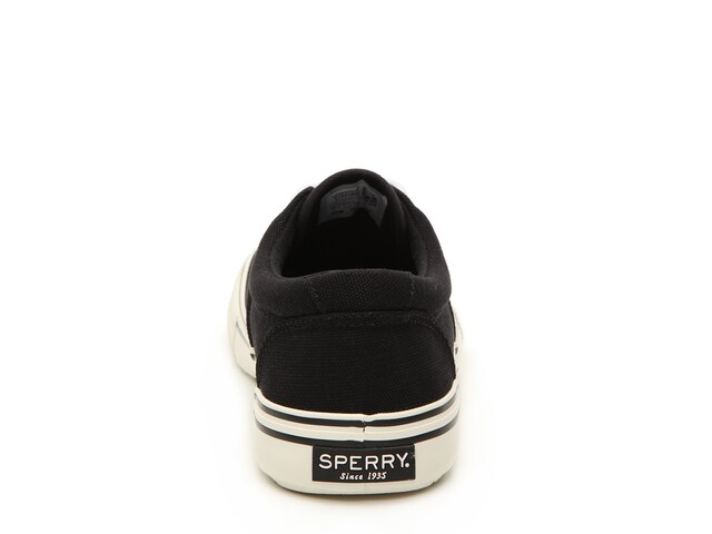 Sperry Striper Storm Sneaker - Free Shipping | DSW