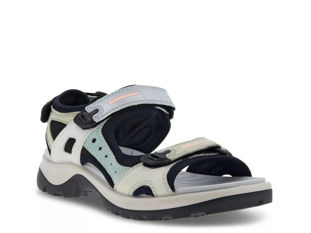 Dsw ecco discount