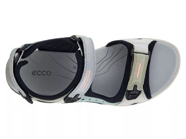 Dsw ecco clearance