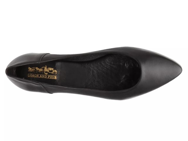 Dsw coach and four on sale