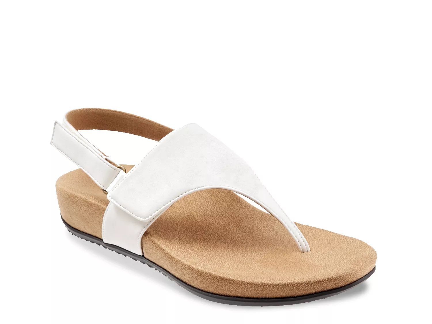 dsw trotters