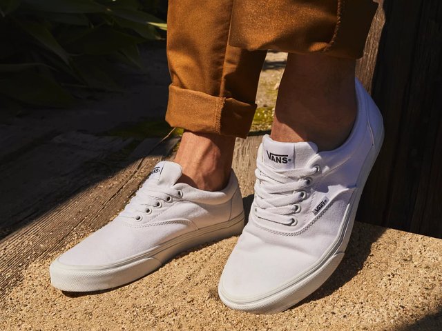 Mens vans doheny new arrivals