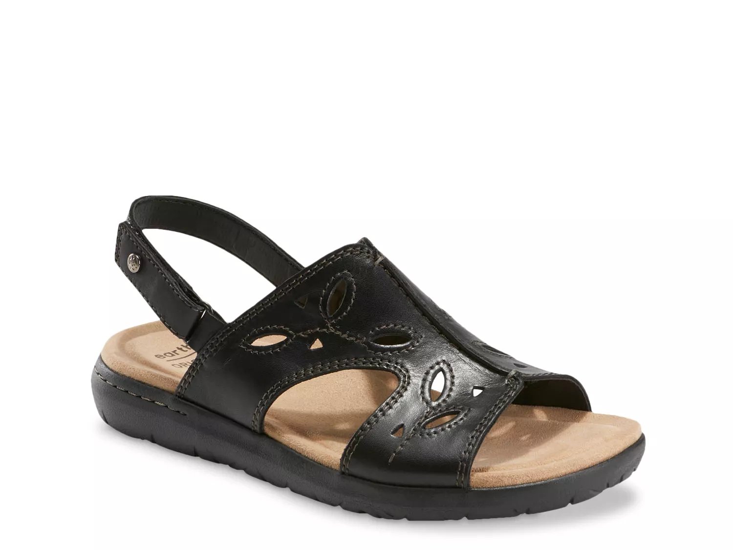 dsw earth