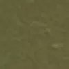 dsw olive green sandals