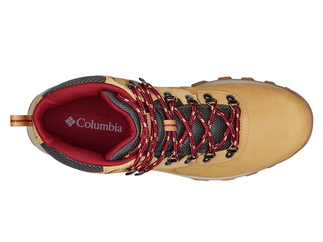 Columbia Newton Ridge Plus II Hiking Boot - Men's - Free Shipping | DSW