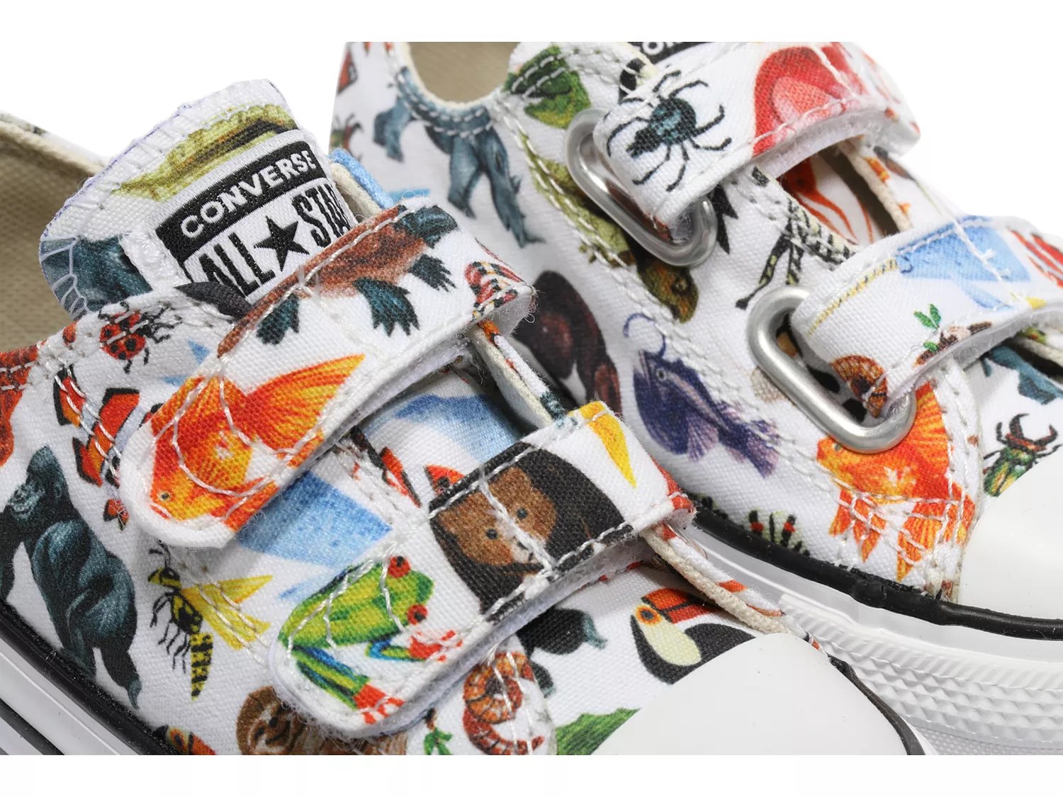 animal converse shoes