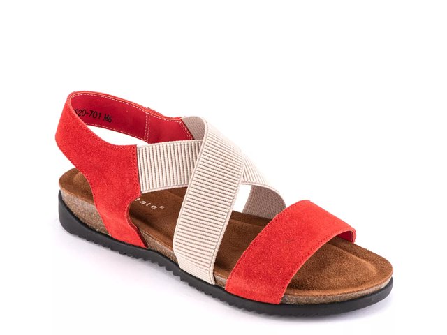 Dsw david best sale tate