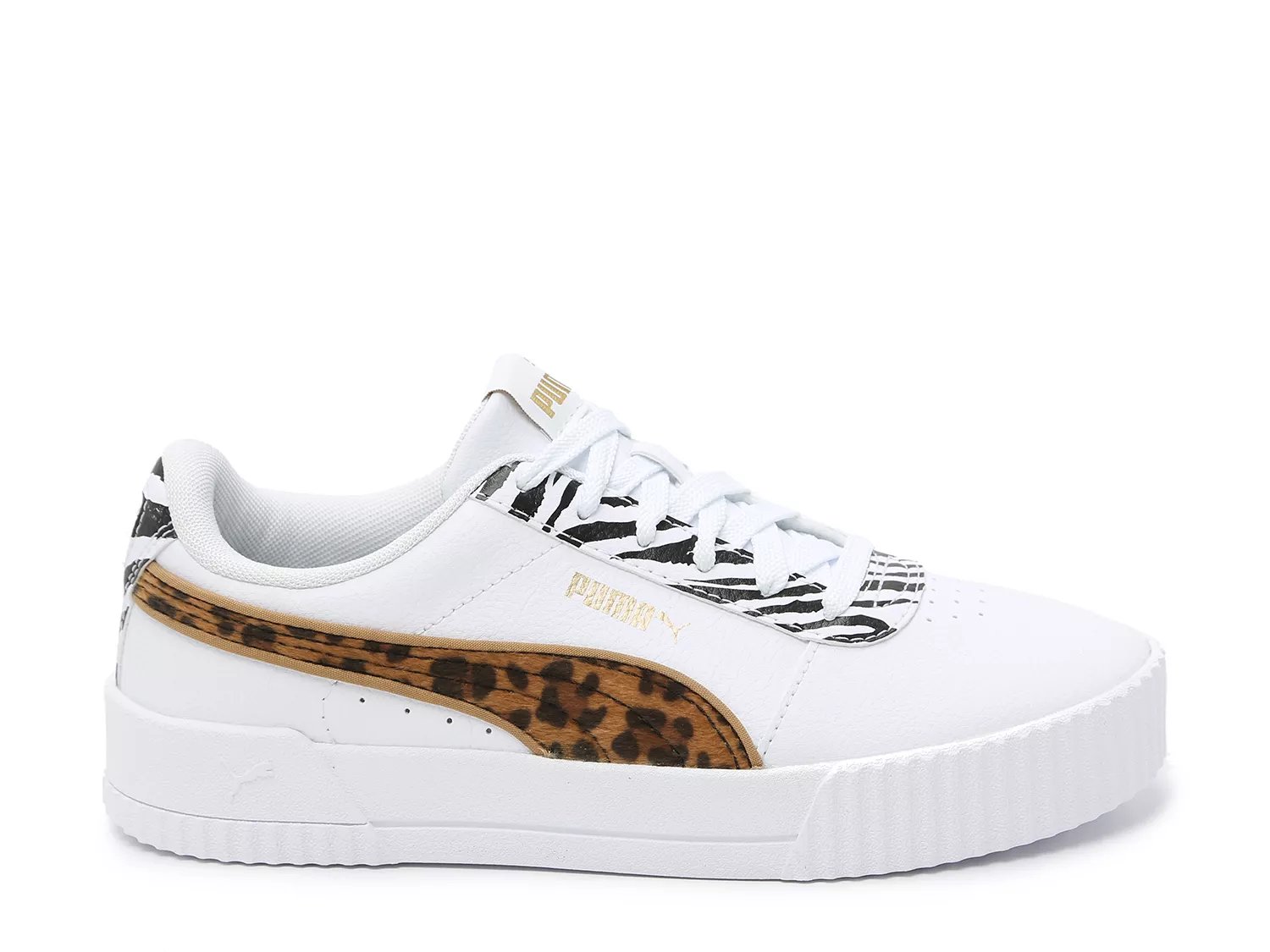 puma carina leopard