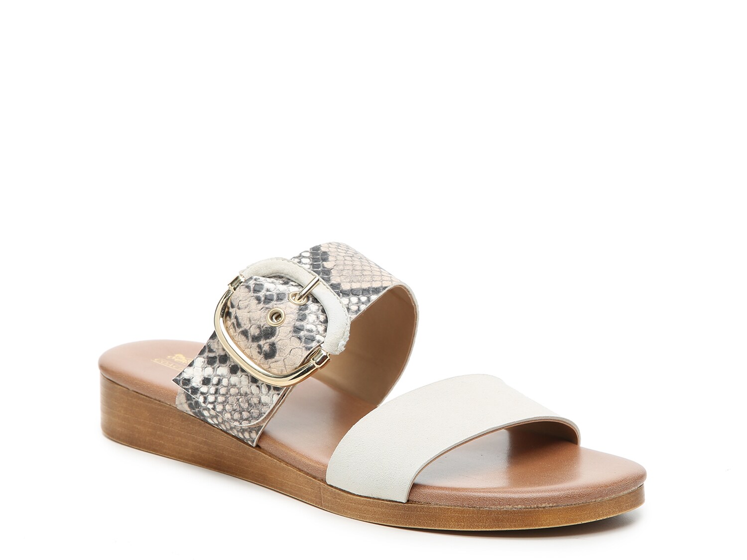 coach flip flops dsw