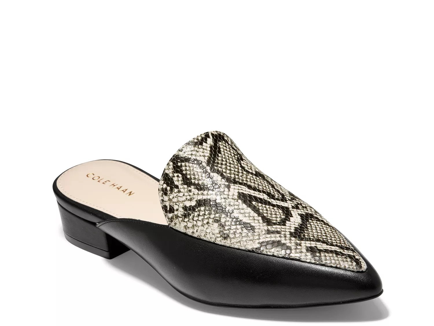 dsw cole haan pumps