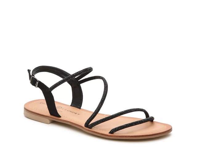 chinese laundry camomile