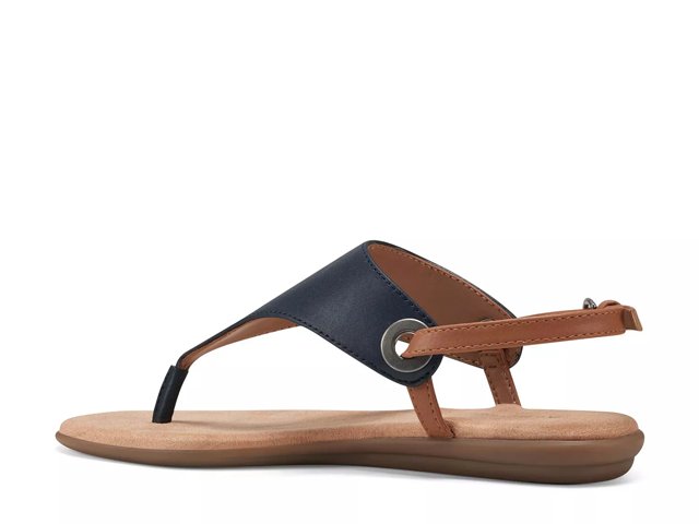 Aerosoles women's in conchlusion flat sandal hotsell