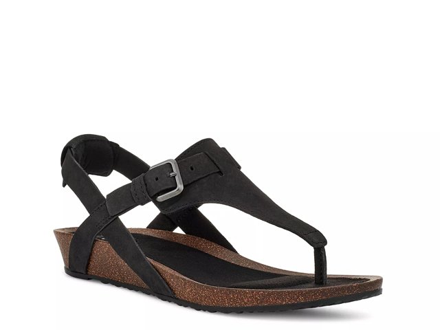 Teva dsw 2025
