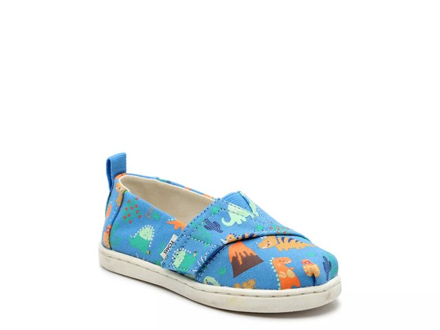 Dsw toms slippers 2025