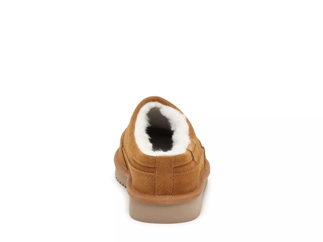 Dsw ugg tasman store