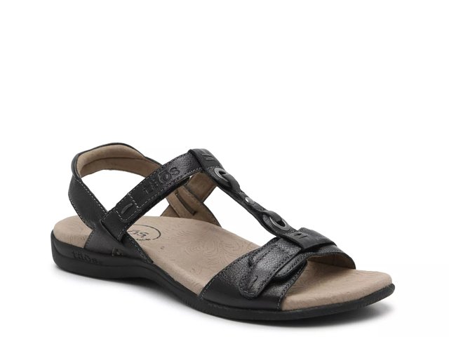 Dsw hotsell taos shoes