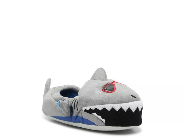 Dsw kids deals slippers