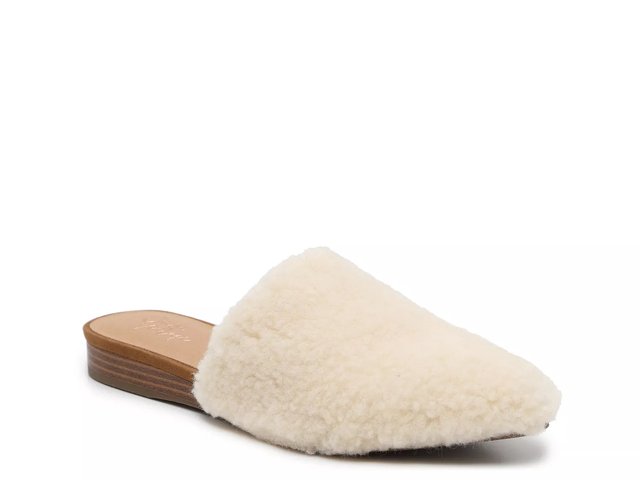 Dsw crown sales vintage mule