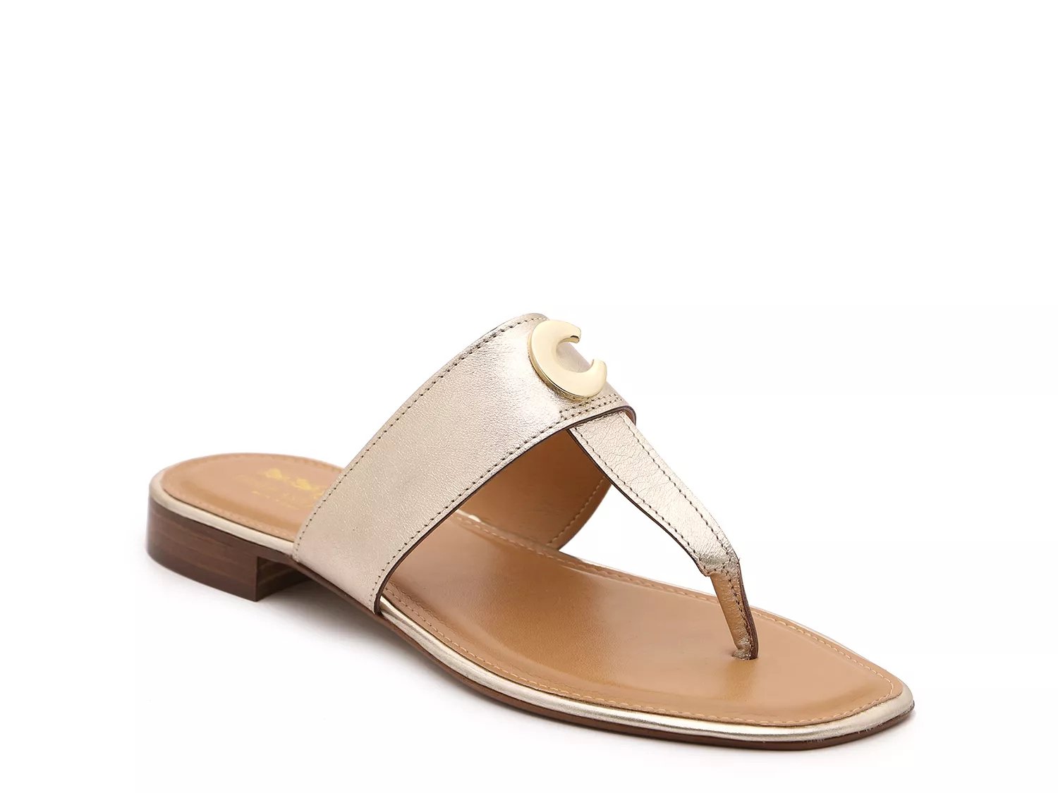 coach flip flops dsw