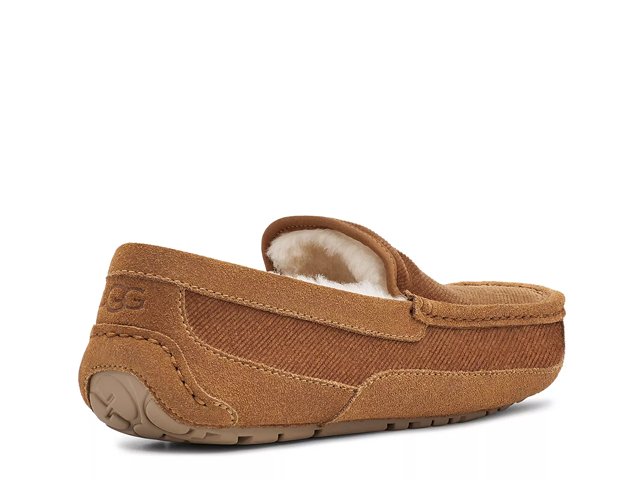 Dsw mens uggs shop