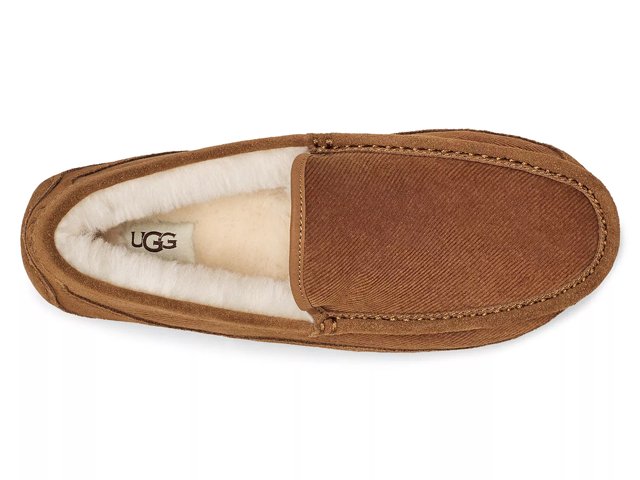 Men's ascot ugg slippers top