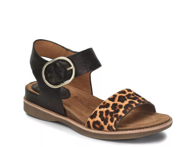 Sofft dsw sales