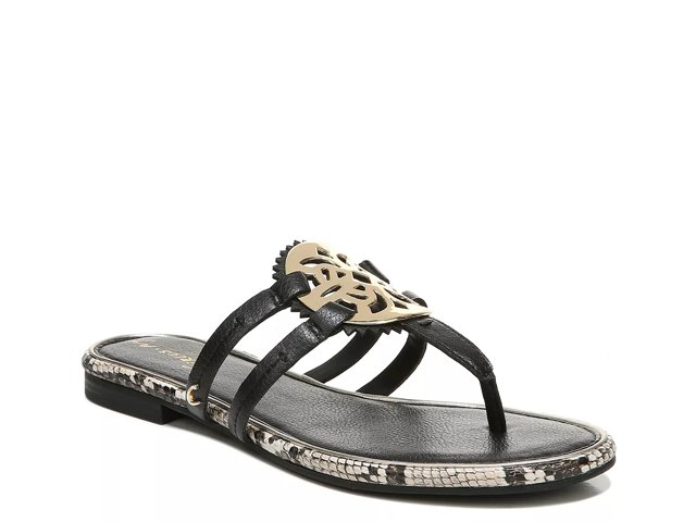 Circus sam cheap edelman canyon