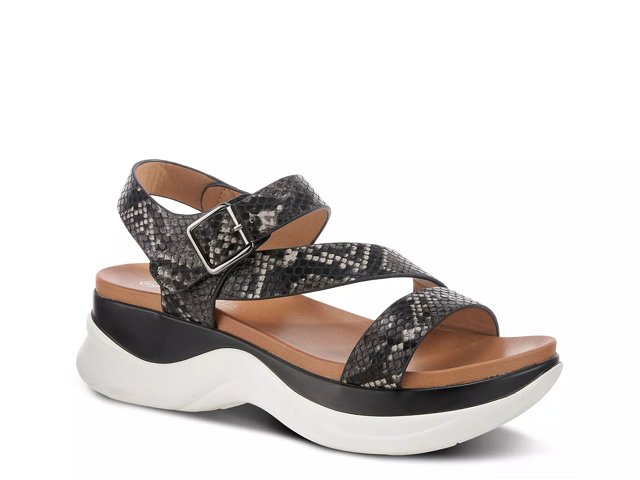 Patrizia dsw outlet